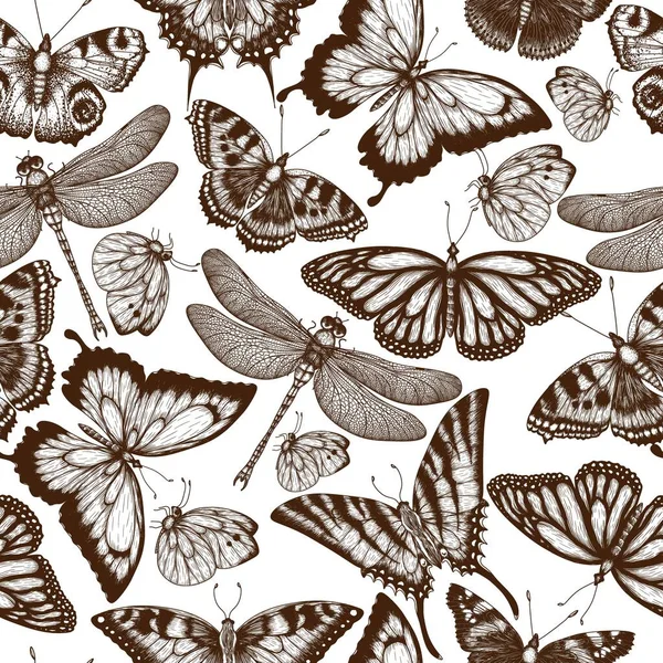 Seamless Vector Pattern Insects Monarch Butterfly Hive Butterfly Peacock Butterfly — Stock vektor