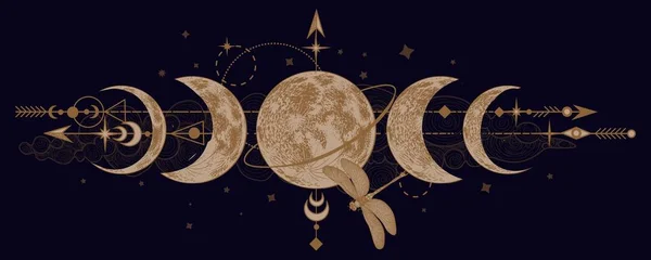  Vector illustration of mystical moon phases and dragonfly
