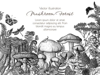  Ormanda mantarların oyma tarzında vektör çerçevesi. Grafik doğrusal sinek agariği, chanterelles, porcini mantarı, bal mantarı, morel, micena, russula, bitkilerle çevrili boletus