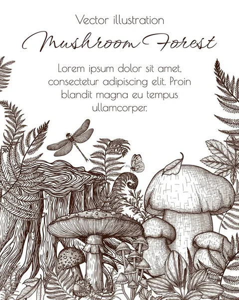 Vektorillustration Von Pilzen Wald Stich Stil Grafische Linearfliege Mycena Agaric — Stockvektor