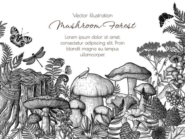  Vector frame of mushrooms in the forest in engraving style. Graphic linear fly agaric, chanterelles, porcini mushroom, honey mushrooms, morels, mycena, russula, boletus surrounded by plants