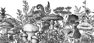  Mantarlı, bitkili, otlu, kusursuz, yatay orman deseni. Lineer sinek agarik, chanterelles, porcini mantar, bal mantarı, morels, mycena, russula, boletus, ısırgan otu, eğreltiotu, hindiba, papatya çayı