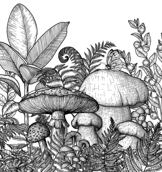 蘑菇森林的病媒图解 被植物包围 — 图库矢量图片