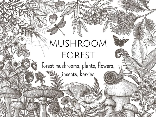 Quadro Floresta Vetorial Com Cogumelos Plantas Insetos Bagas Fly Agaric —  Vetores de Stock