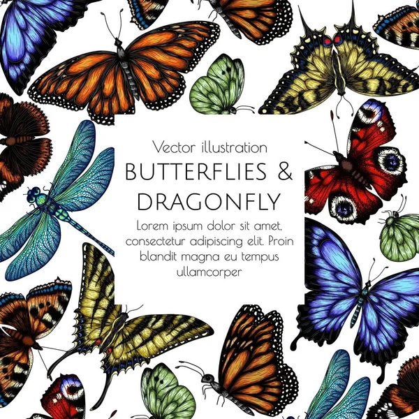 Εικονογράφηση Διάνυσμα Πλαίσιο Έντομα Πεταλούδα Μονάρχης Πεταλούδα Κυψέλη Πεταλούδα Παγώνι — Διανυσματικό Αρχείο