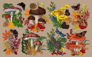  Mantarlı, bitkili, böcekli, dutlu 8 çalılık vektör seti. Sinek mantarı, mantar, ballı agarik, boletus, morel, russula, salyangoz, çilek, eğreltiotu, kelebek, yusufçuk.