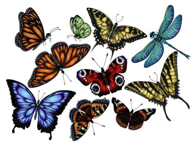  9 böcekli vektör kümesi. Kral kelebeği, kovan kelebeği, tavus kuşu kelebeği, kelebek kırlangıcı, pieridae, kelebek amiral, podalirius, papilio, yusufçuk