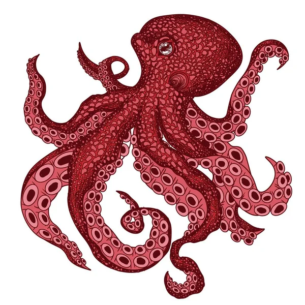 Vector Illustration Red Octopus Painted Engraving Style — Stock Vector
