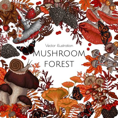  Mantarlar, bitkiler, böcekler, böğürtlenler içeren sonbahar vektör çerçevesi. Sinek mantarı, mantar, ballı agarik, boletus, morel, russula, salyangoz, çilek, eğreltiotu, kelebekler.