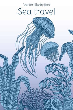  Mercanlar, algler, kabuklu deniz yıldızları ve oymacılık tarzında iki denizanasının vektör çizimi