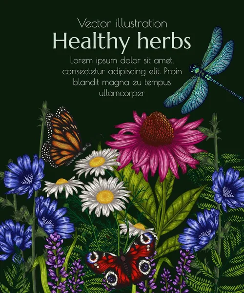 Vector Illustratie Van Nuttige Kruiden Insecten Kamille Vlinder Libel Echinacea — Stockvector