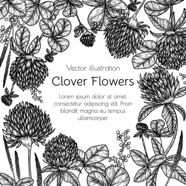 Διάνυσμα Πλαίσιο Από Λουλούδια Και Φύλλα Τριφυλλιού Στυλ Χαρακτικής — Διανυσματικό Αρχείο