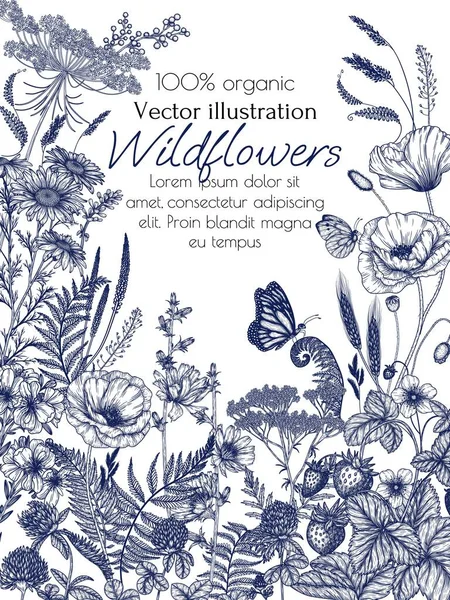 Illustrazione Vettoriale Fiori Piante Selvatiche Circondate Farfalle Camomilla Trifoglio Felce — Vettoriale Stock