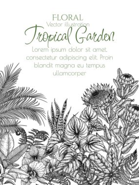  İşleme tarzında tropikal bir bahçenin vektör çizimi. Anthurium, aralia, protea, palmiye yaprakları, eğreltiotu, orkide