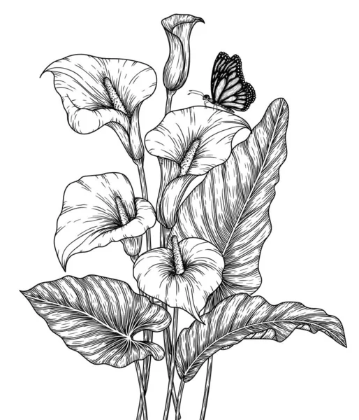 Vektorillustration Eines Straußes Von Zantedeschia Blumen Stich Stil — Stockvektor