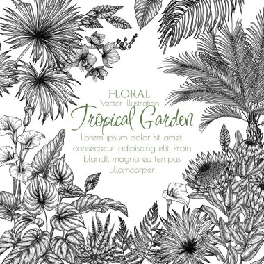  İşleme tarzında tropikal bir bahçenin vektör çizimi. Anthurium, aralia, protea, palmiye yaprakları, eğreltiotu, orkide, livistona, vriesia, sabal