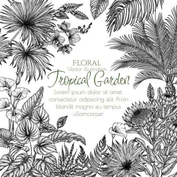 Şleme Tarzında Tropikal Bir Bahçenin Vektör Çizimi Anthurium Aralia Protea — Stok Vektör