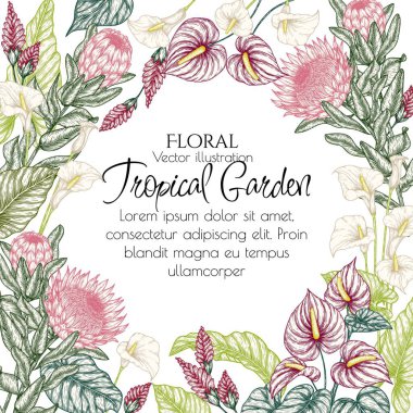  Tropikal çiçeklerin kabartma tarzında vektör çerçevesi. Anthurium, Zantedeschia, Protea, Vriesia