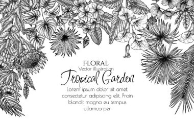  İşleme tarzında tropik bahçe vektör çerçevesi. Anthurium, aralia, protea, palmiye ve muz yaprakları, orkide, livistona, arkadaş, sabal, plumeria, zantedeschia