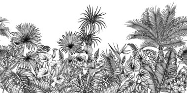  İşleme tarzında kusursuz yatay tropikal bahçe. Anthurium, aralia, protea, palmiye ve muz yaprakları, orkide, liviston, frieze, sabal, plumeria, zantedeschia, monstera, strelitzia