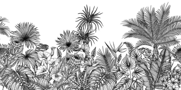 Nahtlose Horizontale Muster Tropischen Garten Gravur Stil Anthurium Aralia Protea — Stockvektor