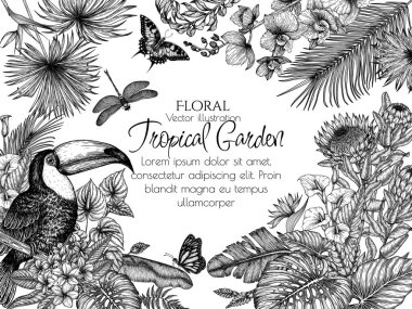  Tukan kuşunun vektör çerçevesi tropikal bahçede oymacılık tarzında. Anthurium, palmiye ve muz yaprakları, liviston, plumeria, zantedeschia, monstera, strelitzia, orkide, ptorea, kelebekler