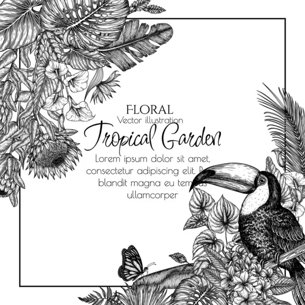  Bir Toucan kuşunun tropikal bir bahçede oyma tarzında vektör sınırı. Anthurium, palmiye ve muz yaprakları, liviston, plumeria, zantedeschia, monstera, strelitzia