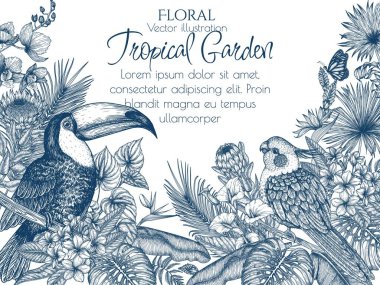  Tropik bir bahçedeki kuşun vektör çizimi. Tukan, corella papağanı, anthurium, palmiye ve muz yaprakları, liviston, plumeria, zantedeschia, monstera, strelitzia, orkide, ptorea, kelebekler.