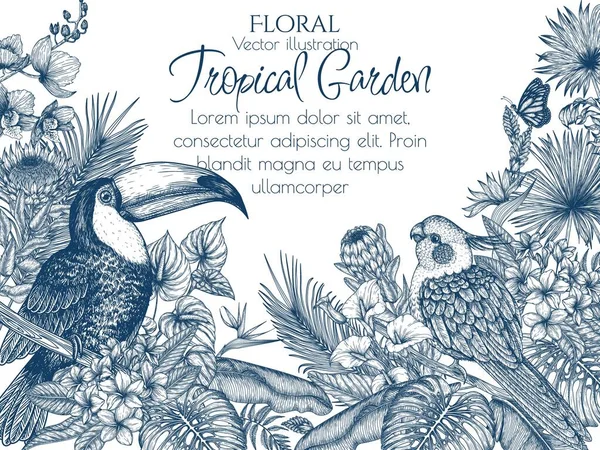 Εικονογράφηση Διάνυσμα Ενός Πουλιού Έναν Τροπικό Κήπο Τουκάν Κορέλα Παπαγάλος — Διανυσματικό Αρχείο