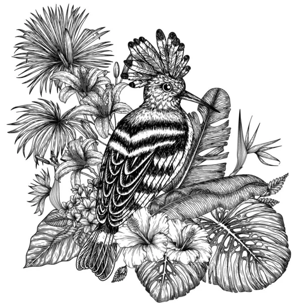 Wektorowa Ilustracja Ptaka Hoopoe Tropikalnym Ogrodzie Stylu Grawerowania Liście Palmy — Wektor stockowy