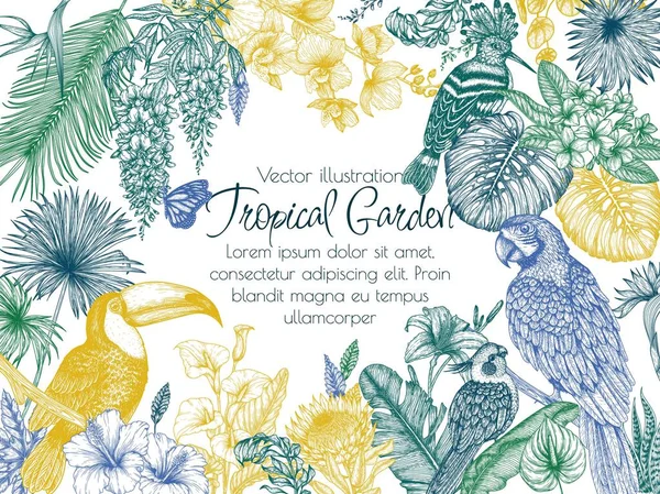 Vektorový Rám Tropické Zahrady Exotickými Ptáky Motýly Papoušek Toucan Hoopoe — Stockový vektor
