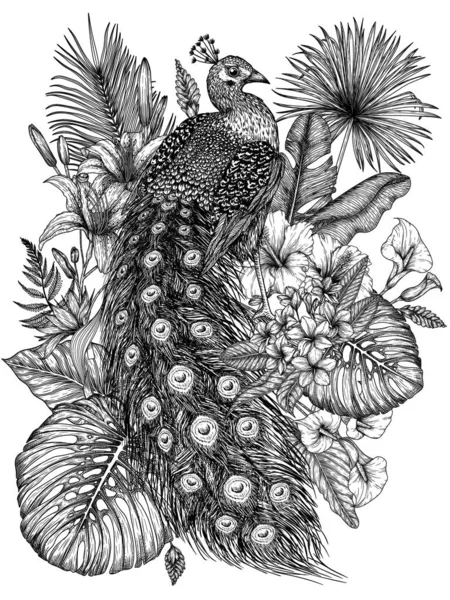 Векторная Иллюстрация Павлина Тропическом Саду Стиле Гравировки Пальмовые Банановые Листья — стоковый вектор