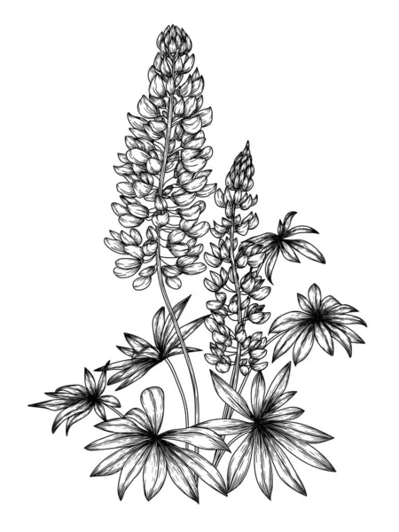 Vektorová Ilustrace Vlčího Květu Rytém Stylu — Stockový vektor