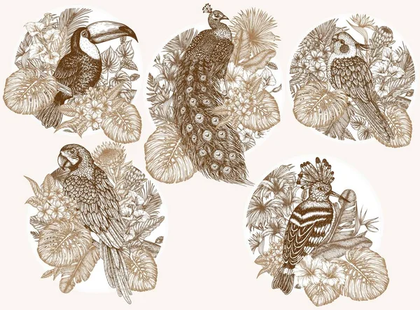 熱帯植物のエキゾチックな鳥と5ステッカーのベクトルセット 彫刻スタイルでマカウオウム トウカン フープー クジャクやコカイテルオウム — ストックベクタ