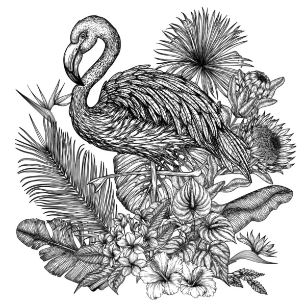 Illustrazione Vettoriale Uccello Fenicottero Giardino Tropicale Stile Incisione Foglie Palma — Vettoriale Stock