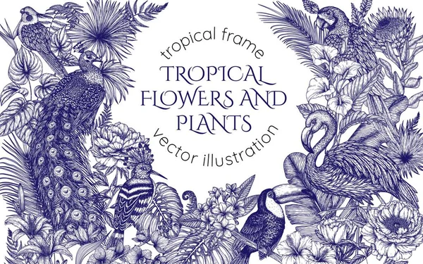 Vektorrahmen Mit Tropischem Garten Mit Exotischen Vögeln Ara Papagei Tukan — Stockvektor