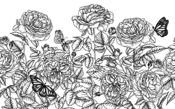 Poziomy Bezszwowy Wzór Ogród Róż Herbaty Motyli Stylu Grawerowania — Wektor stockowy