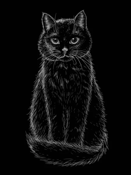 Vector Illustration Black Sitting Cat Engraving Style Black Background — Stock Vector