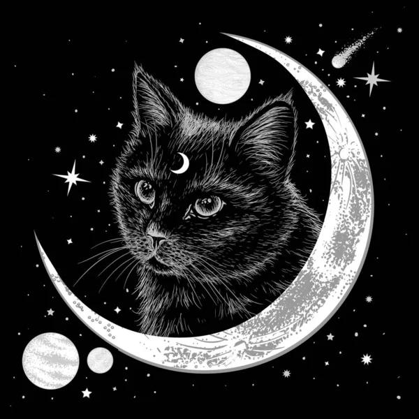 Ilustração Vetorial Gato Preto Estilo Gravura Fundo Espaço — Vetor de Stock