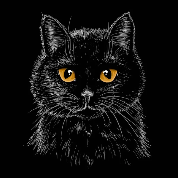 Ilustración Vectorial Hocico Gato Negro Con Ojos Ámbar Estilo Grabado — Vector de stock