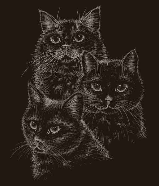 Ilustración Vectorial Gatos Negros Estilo Grabado Sobre Fondo Oscuro — Vector de stock