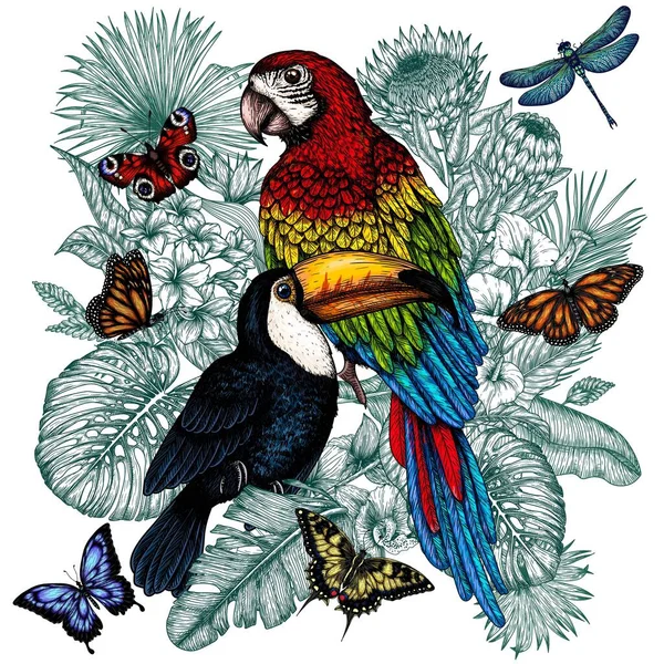 Wektorowa Ilustracja Tukana Papugi Tropikalnym Ogrodzie Motylami Grawerowanym Stylu Liście — Wektor stockowy