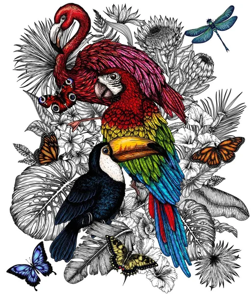 Векторная Иллюстрация Тукана Фламинго Попугая Ара Тропическом Саду Бабочками Стиле — стоковый вектор