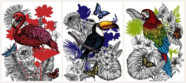 Set Poster Con Uccelli Circondati Fiori Tropicali Piante Stile Incisione — Vettoriale Stock