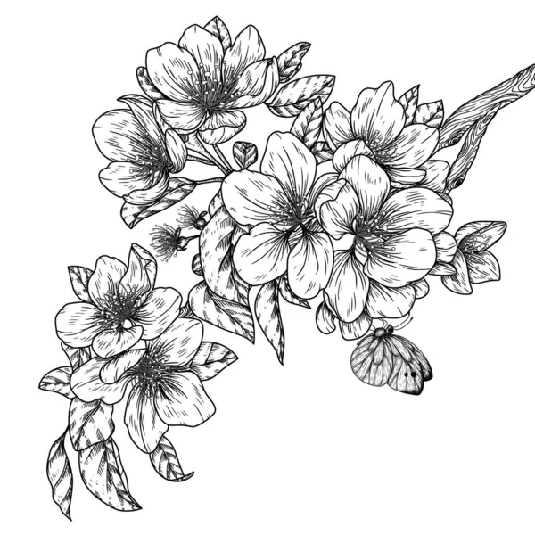 Ilustração Vetorial Ramo Flor Maçã Com Uma Borboleta Estilo Gravura — Vetor de Stock