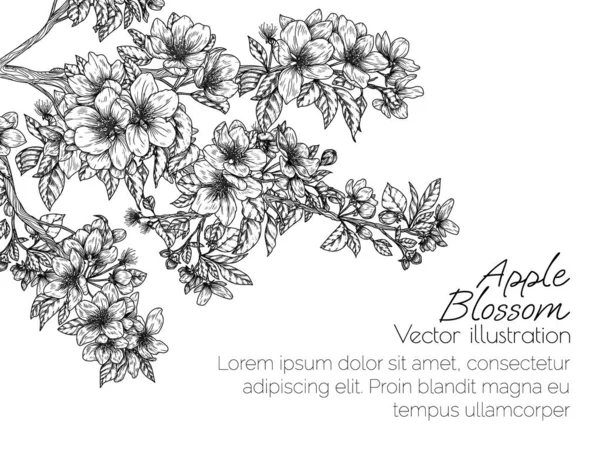 Tarjeta Plantilla Vectorial Con Una Rama Manzano Flor Estilo Grabado — Archivo Imágenes Vectoriales