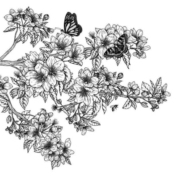 Ilustración Vectorial Una Rama Manzano Flor Con Mariposas Estilo Grabado — Archivo Imágenes Vectoriales