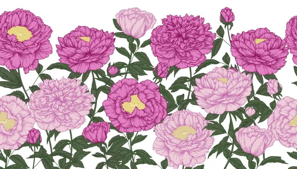 Бесшовный Горизонтальный Векторный Узор Сад Розовых Пионских Цветов Стиле Гравировки — стоковый вектор