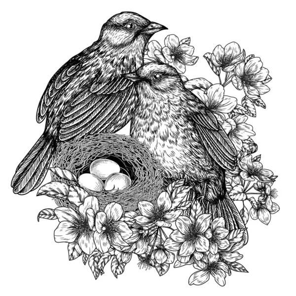 Векторная Иллюстрация Двух Соловьев Гнезда Ветке Цветущей Яблони Стиле Гравировки — стоковый вектор
