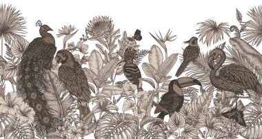  Yatay vektör desenli, egzotik kuşlu tropik bahçeli. İşleme tarzında papağan, tukan, hupoe, tavus kuşu, flamingo ve papağan.